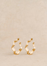 Anne Hoops