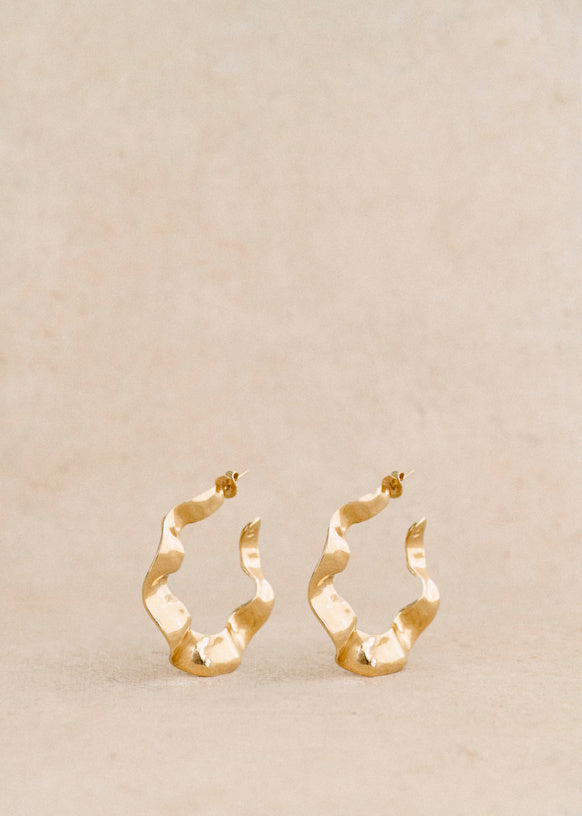 Anne Hoops