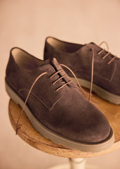 Aster Derbies