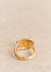 Lisa Ring