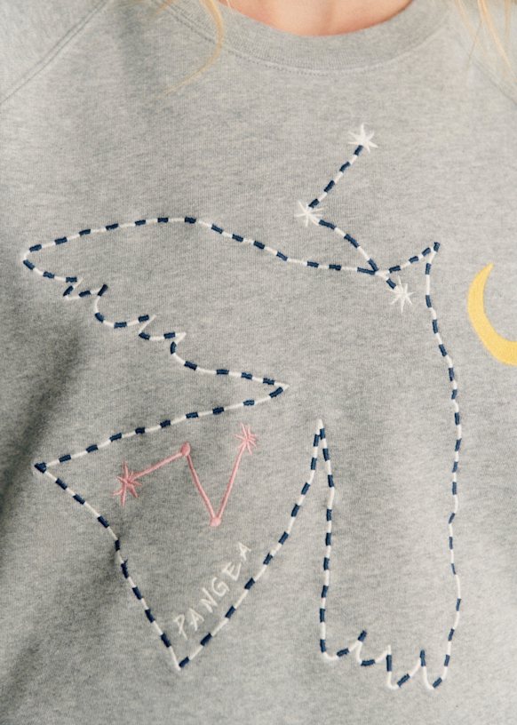 Oiseau une étoile Sweatshirt - Sézane x Pangea