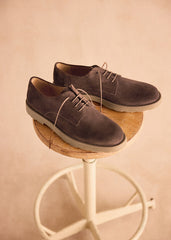 Aster Derbies