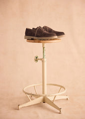 Aster Derbies