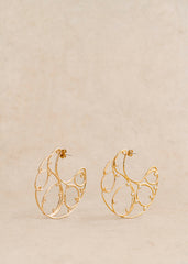 Gino Hoops