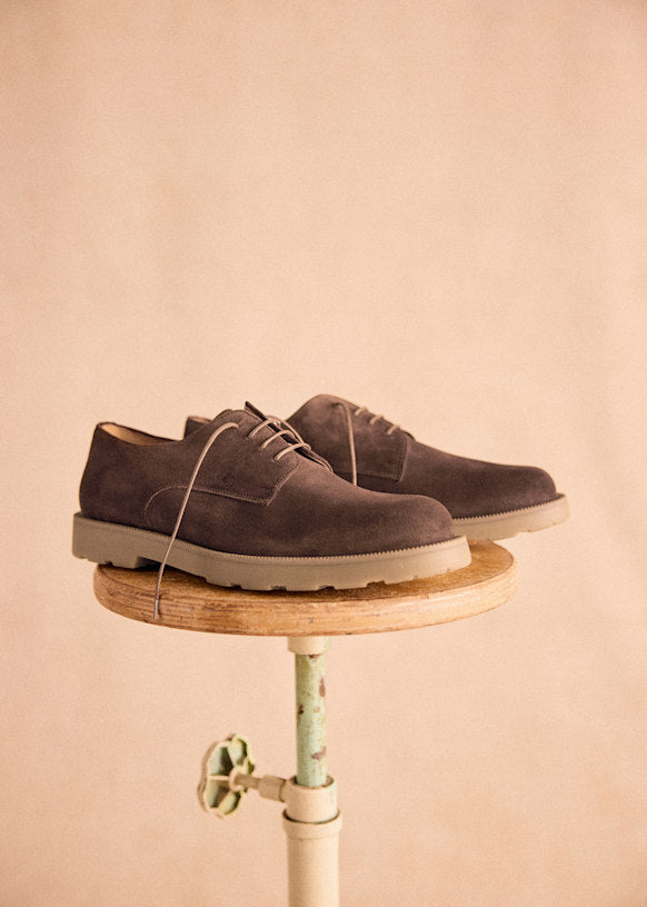 Aster Derbies
